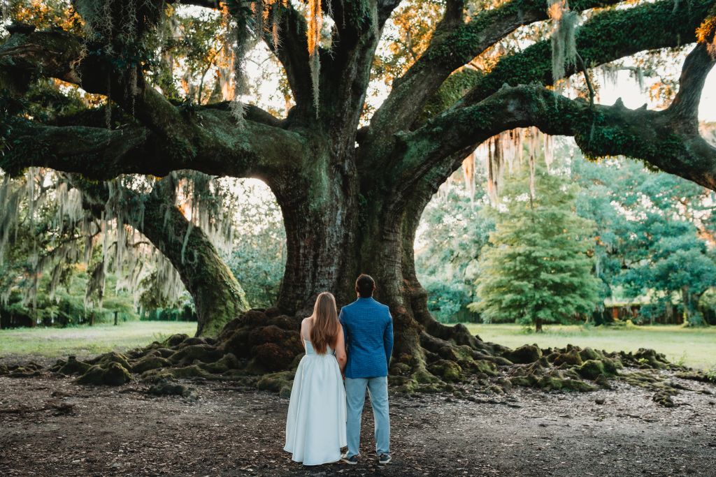 Audubon Park - Tree of Life