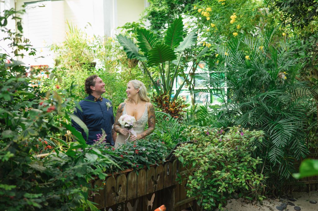 Key West Butterfly & Nature Conservancy