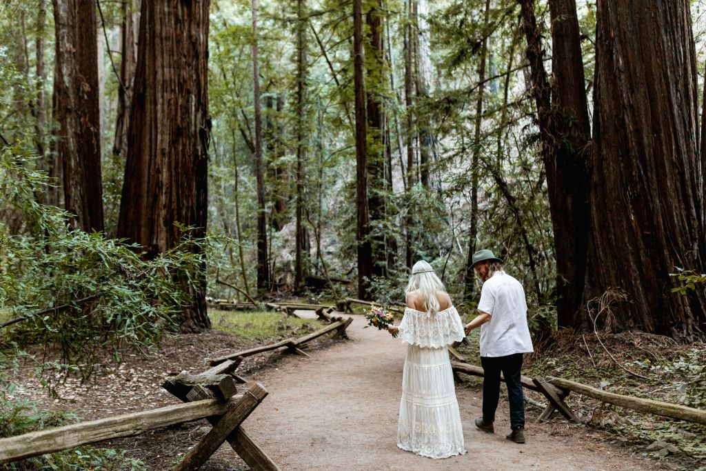 Armstrong Redwoods State Natural Reserve
