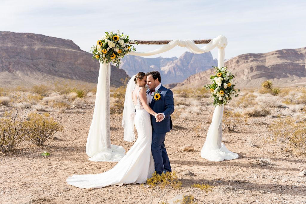 Desert Love at Cactus Joe's